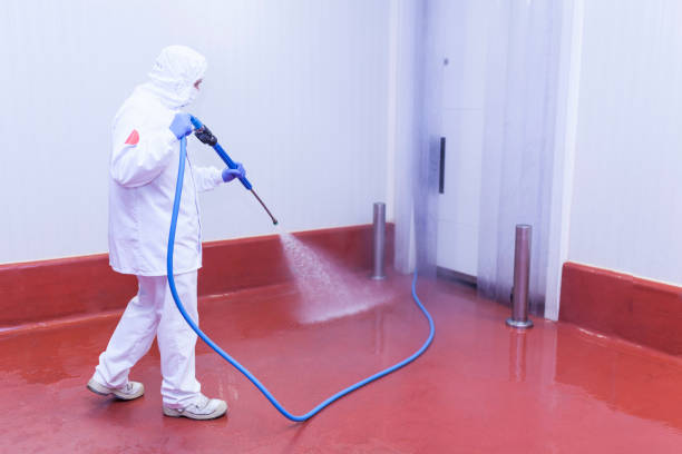 Best Roof Cleaning and Mildew Removal in Closter, NJ
